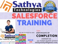 Sales force training in Hyderabad