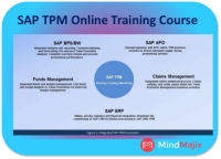 Learn SAP TPM training Real-Time Experts