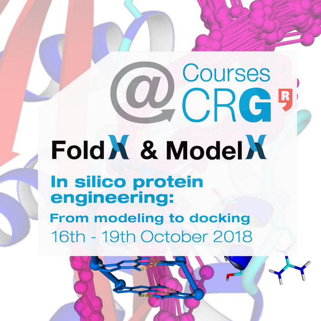 Courses@CRG: FoldX - In silico protein engineering: From modelling to docking, Barcelona, Cataluna, Spain