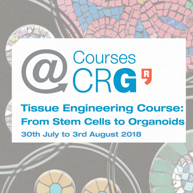 Courses@CRG: Tissue Engineering Course: From Stem Cells to Organoids, Barcelona, Cataluna, Spain