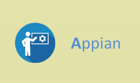Appian BPM Online Training With Live Project And Certification