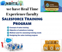 Salesforce Training in Hyderabad | Salesforce Online Training