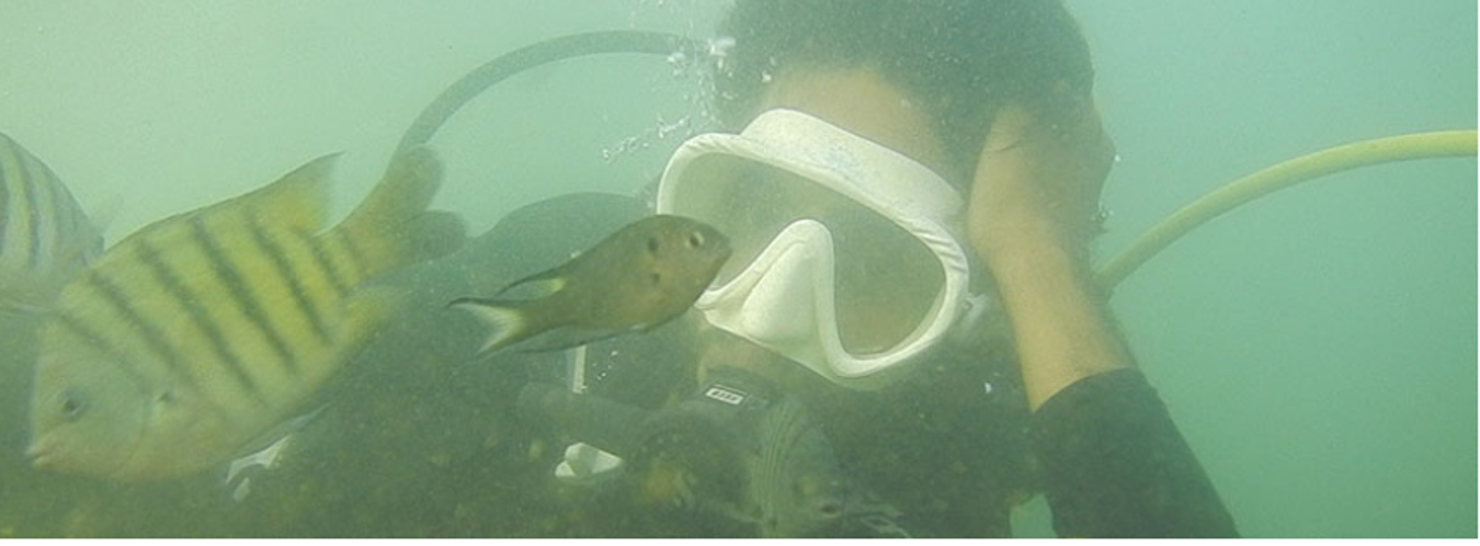 Scuba Diving Tour to Tarkarli, Mumbai, Maharashtra, India