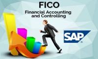 The Best SAP FICO Training - 100% Practical - Free Online Demo