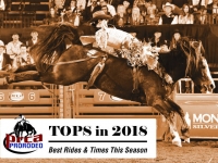 Midwest Horse Fair - PRCA Rodeo 2018 - TixBag
