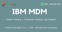 IBM MDM Training
