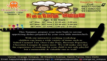 Junior Chef, South Delhi, Delhi, India
