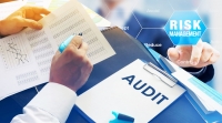 A Core Risk Management Skill for Auditors and Facilitators: Effective Analysis