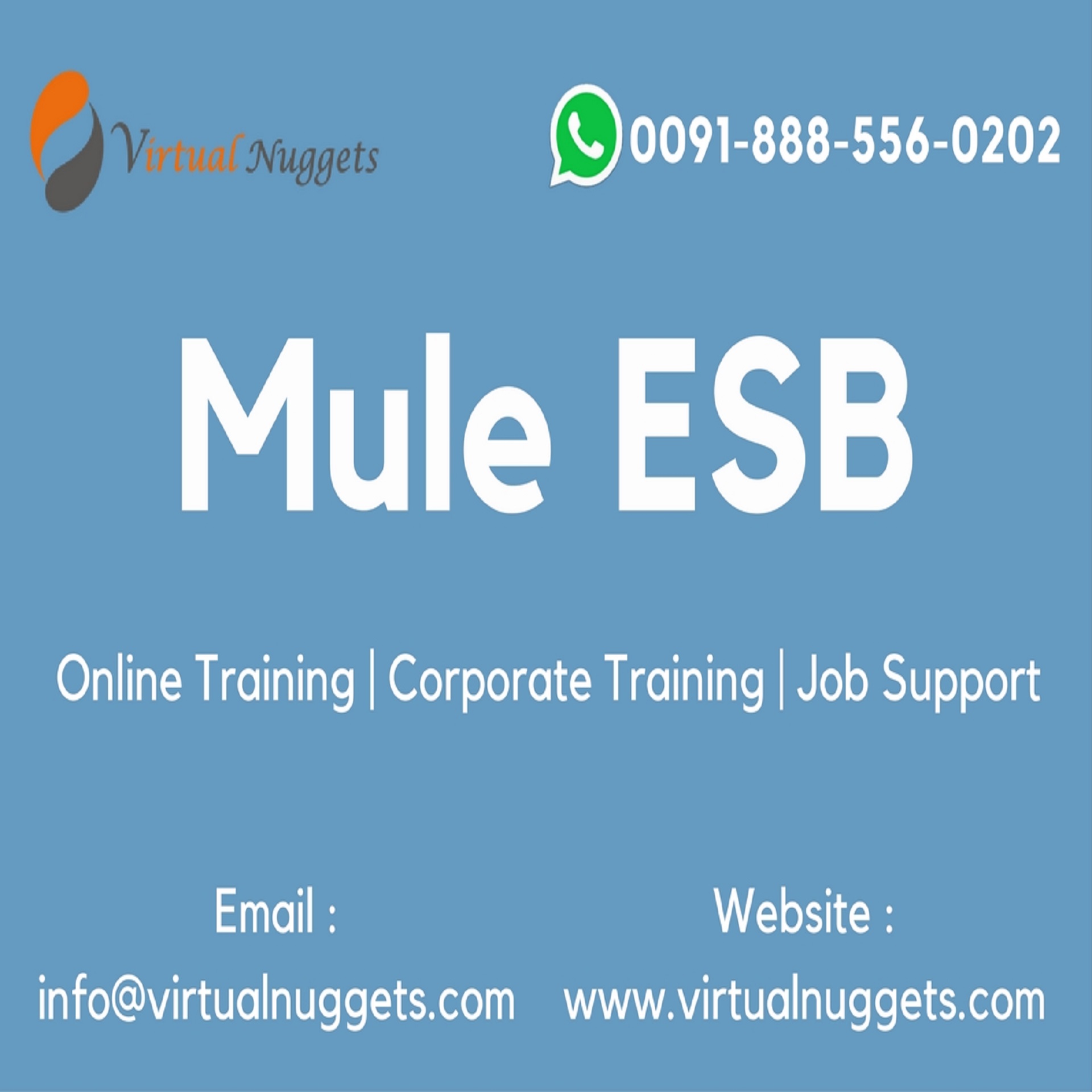 Mule ESB Online Training, Metropolitan Adelaide, New South Wales, Australia