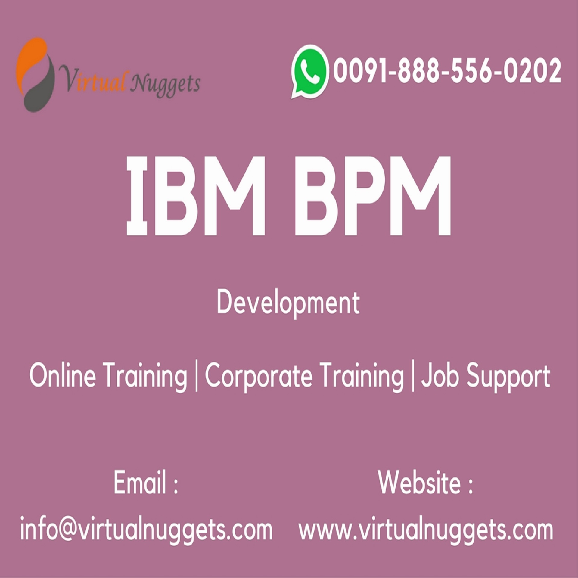 IBM BPM Development Online Training, Dekalb, Missouri, United States