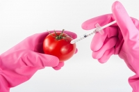 Agricultural Biotechnology Course