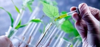 Crop Biotechnology Course