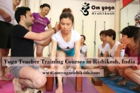 100 Hour Yoga Teacher Training In Rishikesh India