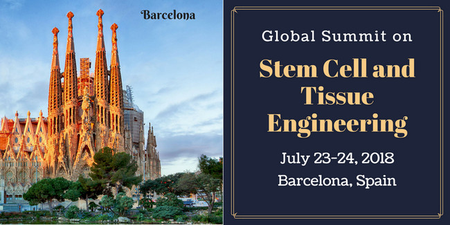 Stem Cell & Tissue Engineering, Barcelona, Aberdeenshire, United Kingdom