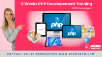 6 Weeks PHP Summer Industrial Training in Gurgaon - SSDN Technologies