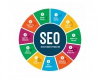 SEO Search Engine Optimization Live Training