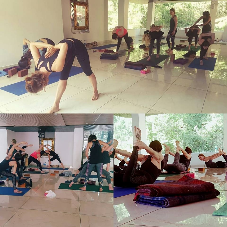 200 hours Yoga Teacher Training Course in Dharamsala, Dharamsala, Himachal Pradesh, India
