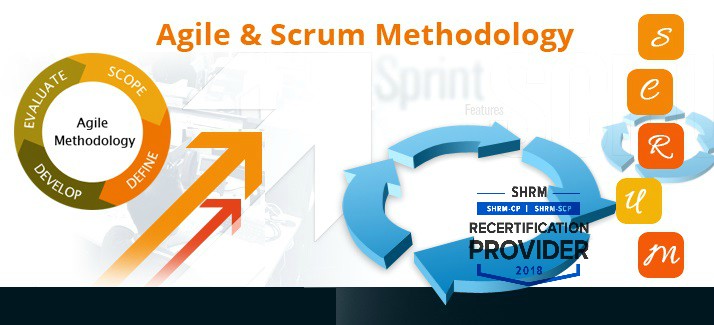 Scrum for Managing Projects in HR, Marketing, Sales and More, Aurora, Colorado, United States
