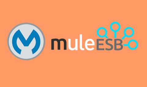 Mule ESB Training With Live Projects And Certification Course, Union, South Carolina, United States