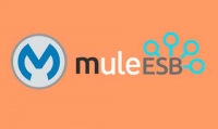 Mule ESB Training With Live Projects And Certification Course