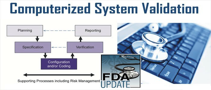 Developing a Strategic Approach to FDA Compliance for Computer System Validation, Aurora, Colorado, United States