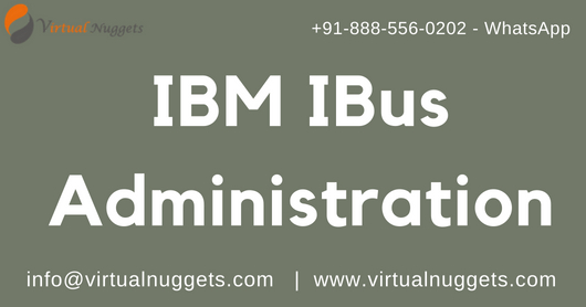 IBM IBUS Online Training Institute, Murray Mallee, New South Wales, Australia