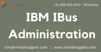 IBM IBUS Online Training Institute