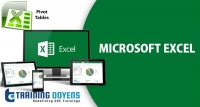 Microsoft Excel Pivot Table Training
