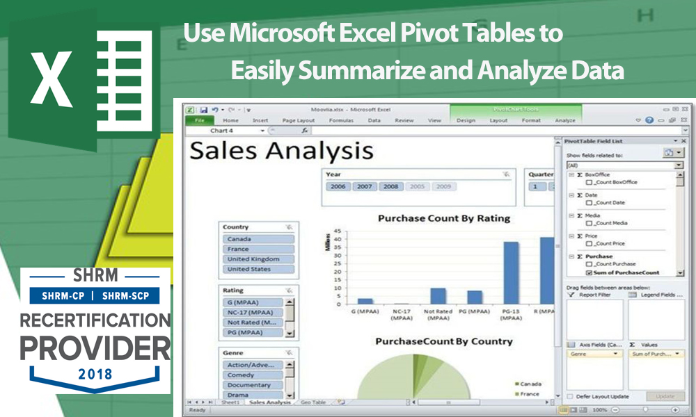Use Microsoft Excel Pivot Tables to Easily Summarize and Analyze Data, Denver, Colorado, United States