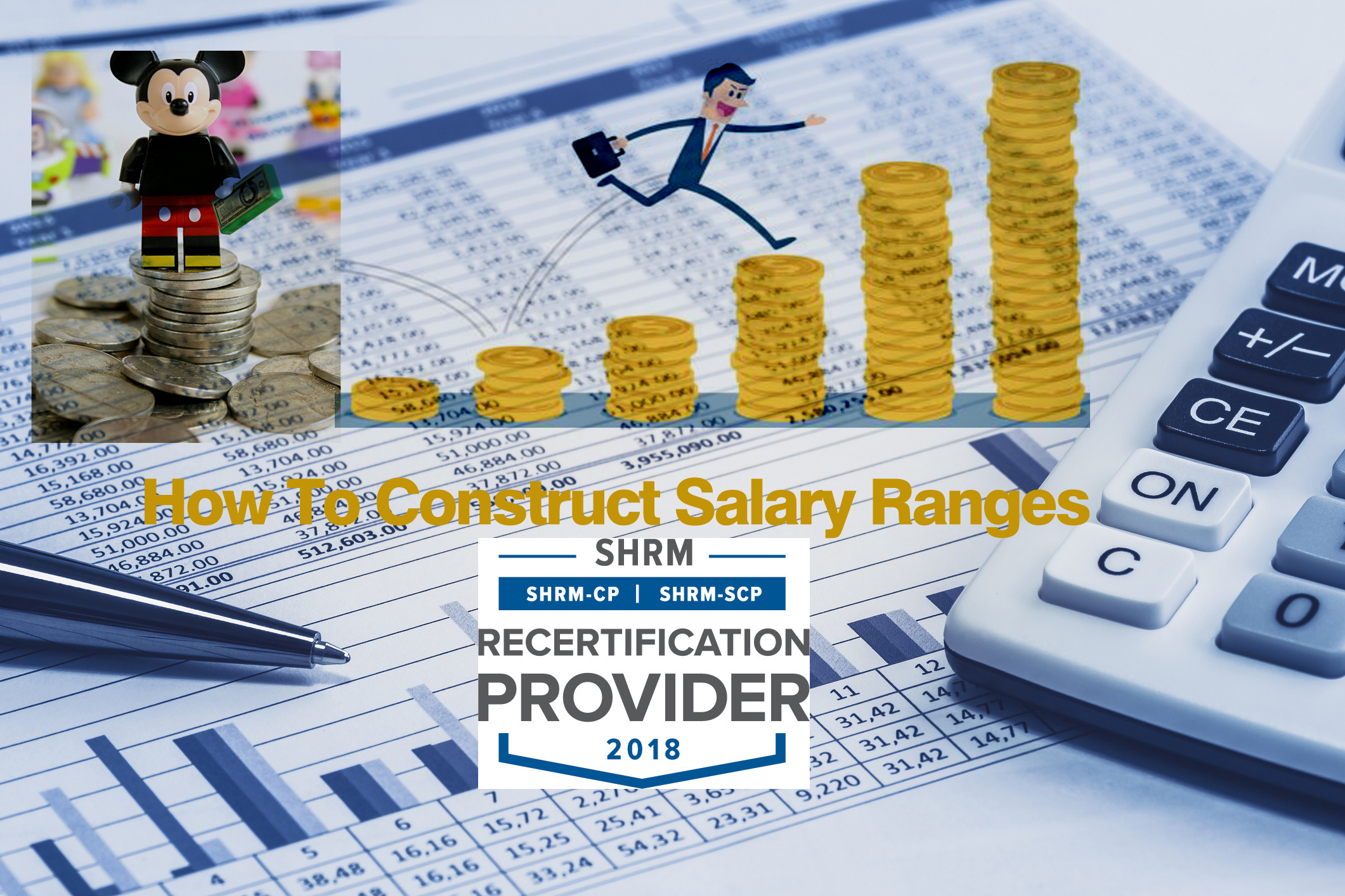 How To Construct Salary Ranges, Administer Increase Budgets and Build Merit Increase Matrixes, Aurora, Colorado, United States