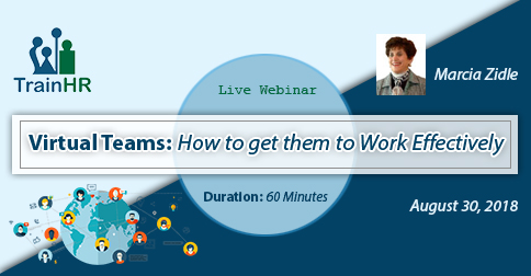 Web Conference on  Virtual Teams: How to get them to Work Effectively, Fremont, California, United States
