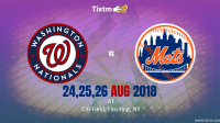 New York Mets vs. Washington Nationals at Flushing