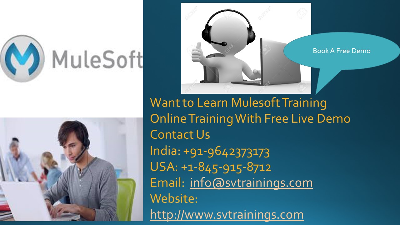Mule ESB Online Training With Live Projects And Certification Course, Hyderabad, Andhra Pradesh, India
