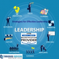 Strategies for Effective Leadership: How to Influence, Inspire, Motivate and Lead others