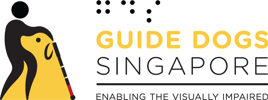 White Cane Community Day 2018, Singapore, Central, Singapore