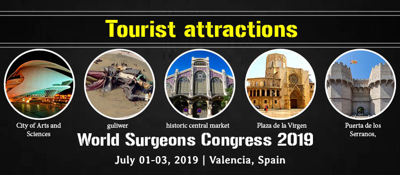 8th Edition of International Conference and Exhibition on  Surgery and Transplantation, Valencia, Spain