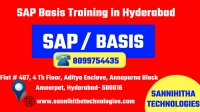 SAP Basis Training in Hyderabad