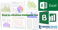 Webinar on Excel as a Business Intelligence Tool – How to create flexible summary reports using Pivot Tables and Charts – Training Doyens