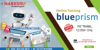 RPA Blue Prism Online Training in USA - NareshIT