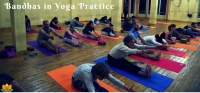 Best Yoga Teacher Training in Rishikesh India