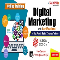 Digital Marketing Online Training in USA - NareshIT