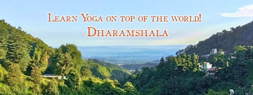 200 & 300 Hours Yoga Training in Dharamshala at Shree Hari Yoga, Dharamshala, Himachal Pradesh, India