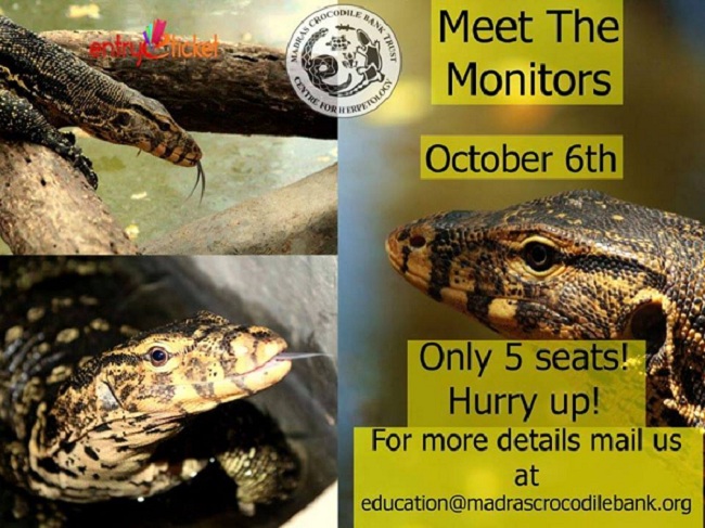 Meet the Monitors | Entryeticket, Chennai, Tamil Nadu, India