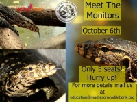 Meet the Monitors | Entryeticket