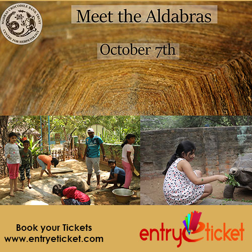 Meet the Aldabras | Entryeticket, Chennai, Tamil Nadu, India