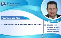 Through the Eyes of an Auditor