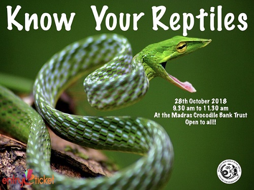 Know Your Reptiles on October | Entryeticket, Chennai, Tamil Nadu, India
