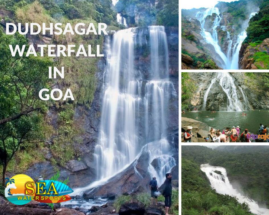 Dudhsagar Waterfall Trip in Goa (1 day), North Goa, Goa, India