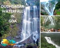 Dudhsagar Waterfall Trip in Goa (1 day)