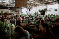 Huge Indoor Plant Warehouse Sale- Rumble in the Jungle- Perth